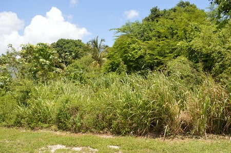 34 Cuckoo Street,Nassau, Bahamas