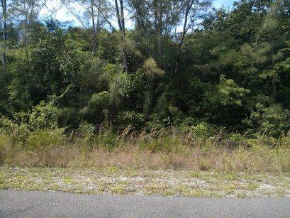 Jacaranda Residential Lot #80B