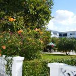 13 Path Leading to Pool