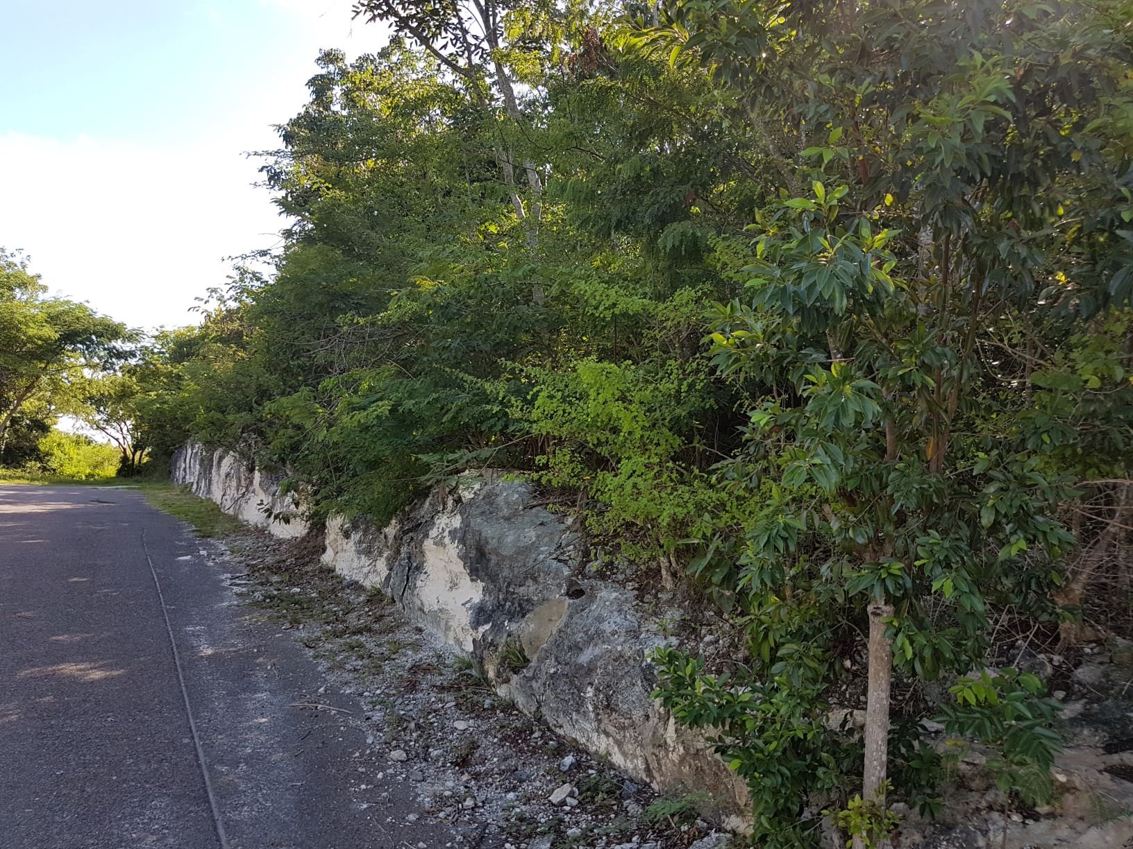 San Souci Residential Lot