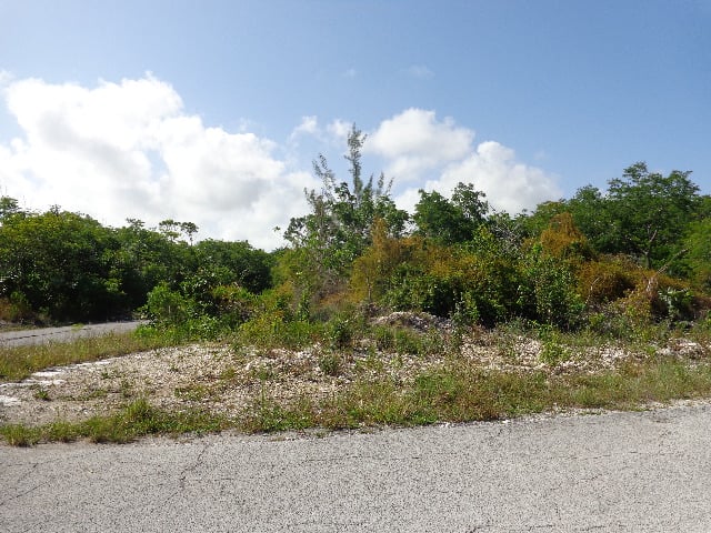 Over Sized Corner Lot in Royal Bahamia