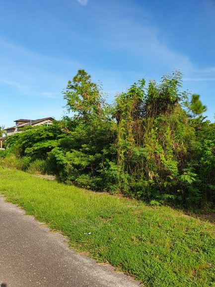 Serenity Vacant land