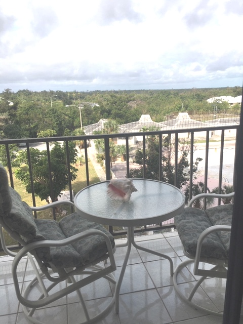 Ready to Move in! Unbelievable Price!