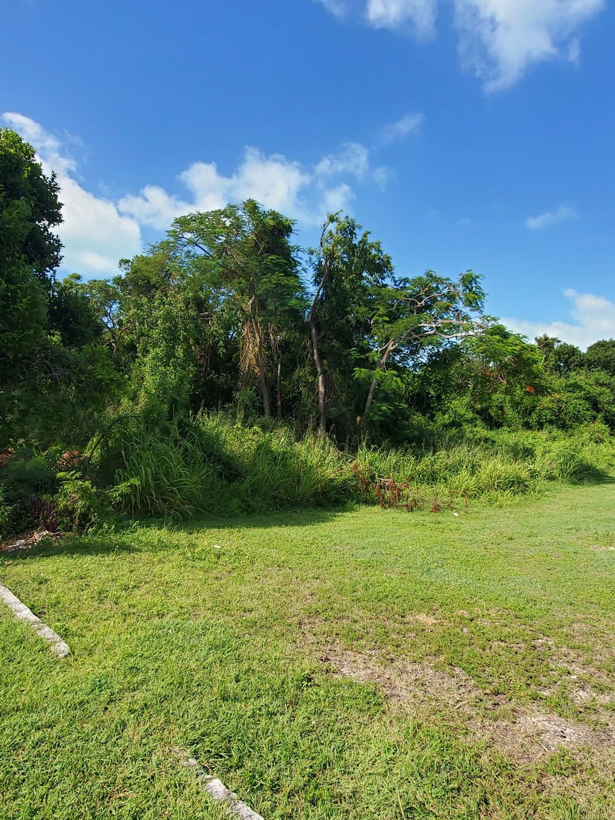 Yamacraw Road Multi Lot