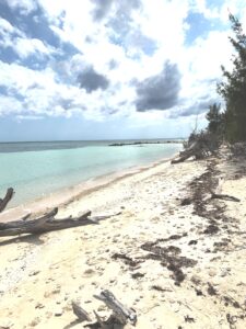Beach Front Zoned Tourist Commercial Land