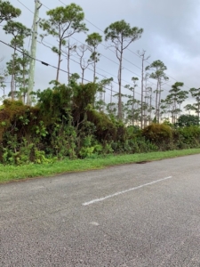 Reasonably Priced all Utilities in place.