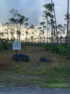 One Block from Utilities