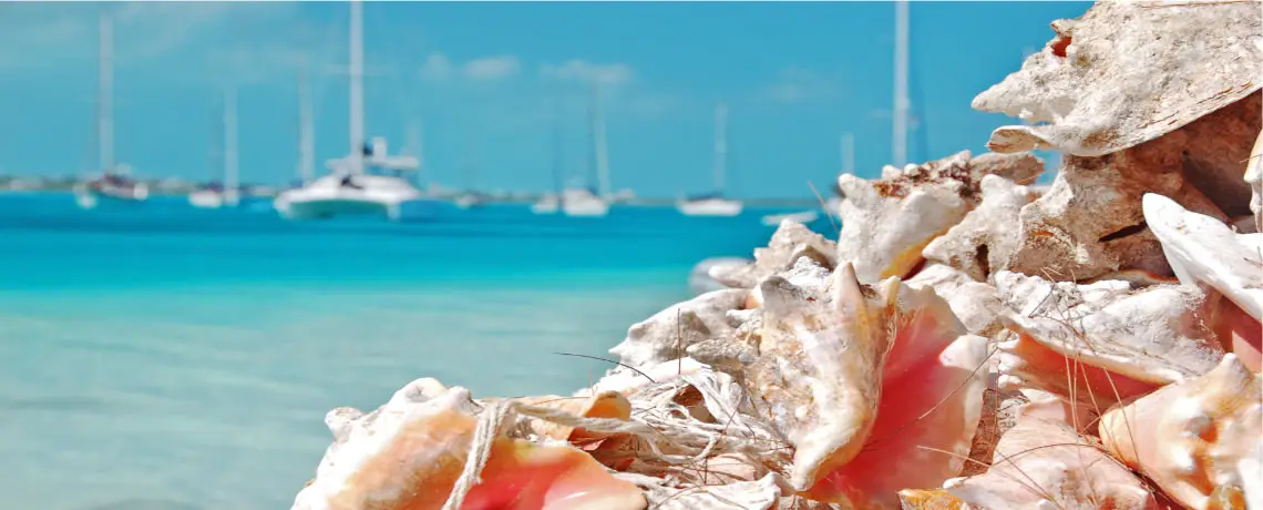 conch-shells-catamarans Conch Shells & Catamarans